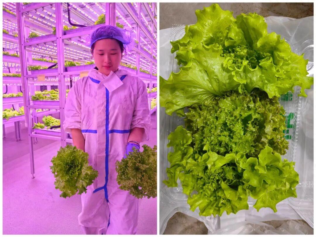 159e9898a34414a7487f5c337a84fa654~tplv-tt-origin-web_gif