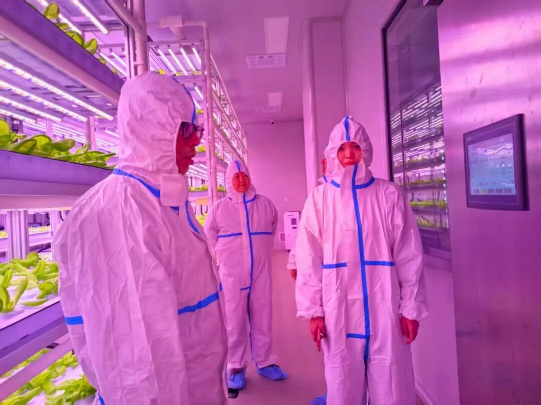 23e68e5e224ec49baa51db8f3577f3046~tplv-tt-origin-web_gif 23e68e5e224ec49baa51db8f3577f3046~tplv-tt-origin-web_gif