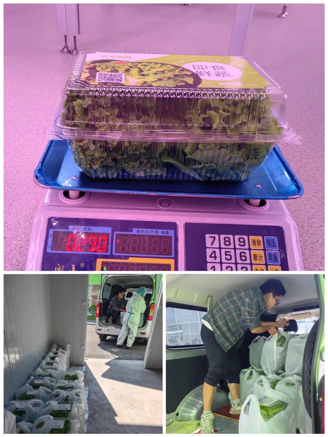 2e20e690124694fe3a47b00156fc4d104~tplv-tt-origin-web_gif