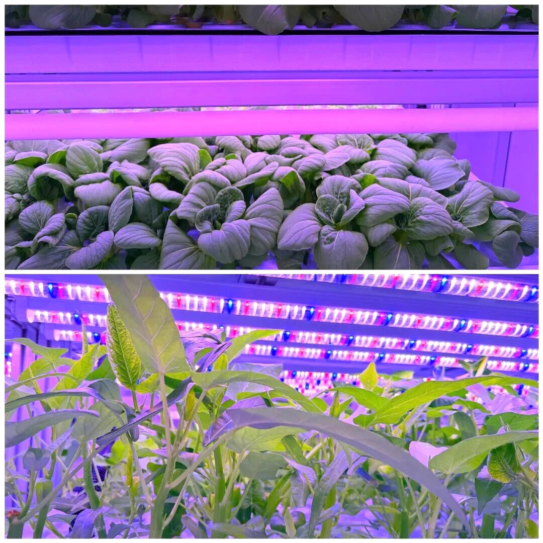 2微信图片_20260122133842