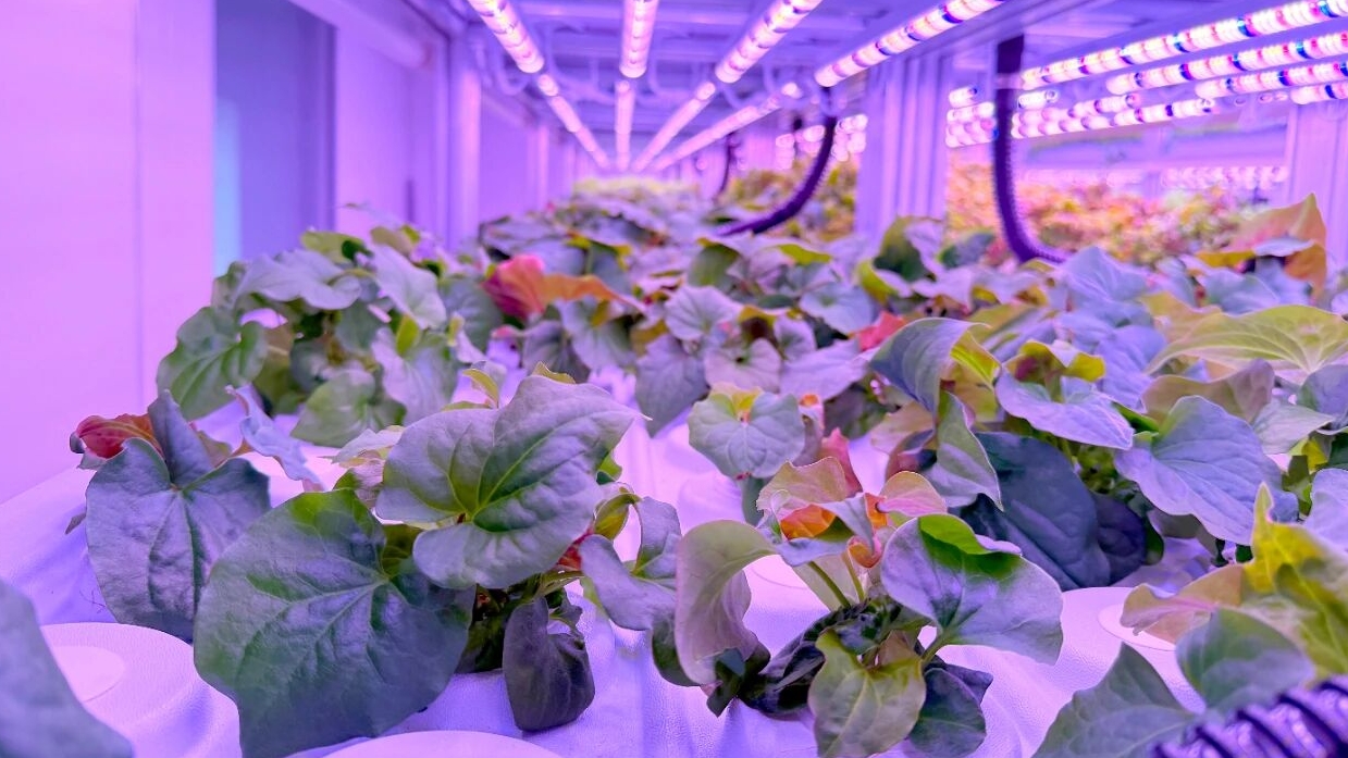 1微信图片_20260122133837