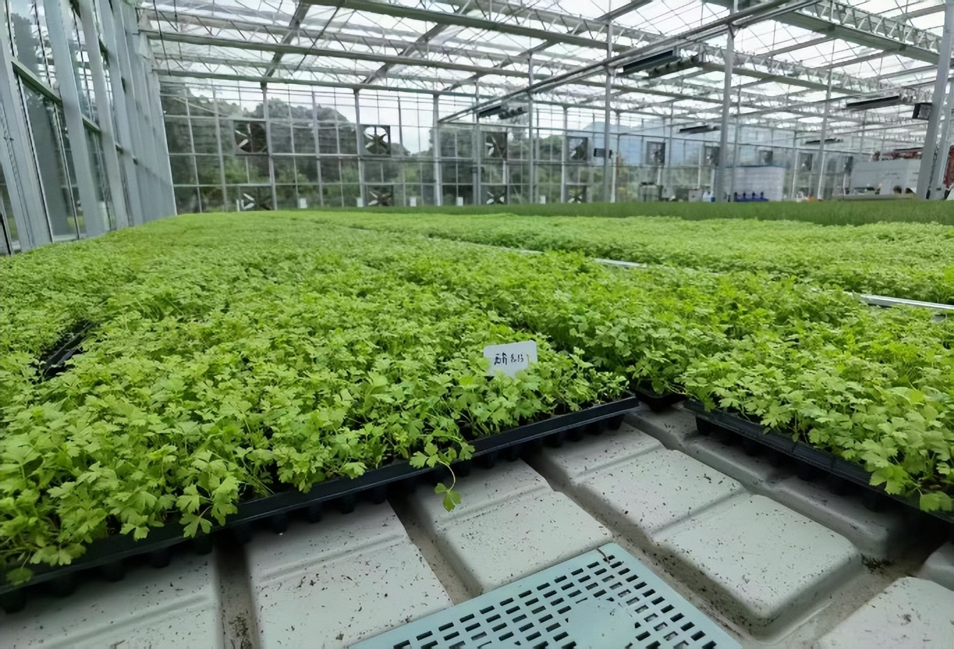 666912e4801391849c2b6eee905ef077bdd~tplv-tt-origin-web_gif