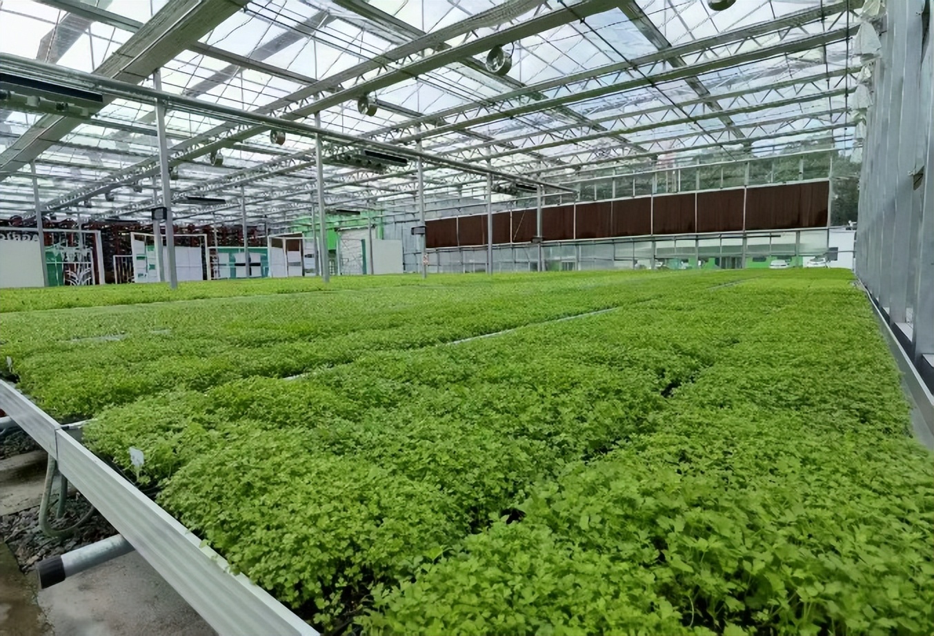 88894070d1ac8124bc0bd723fea6030863b~tplv-tt-origin-web_gif