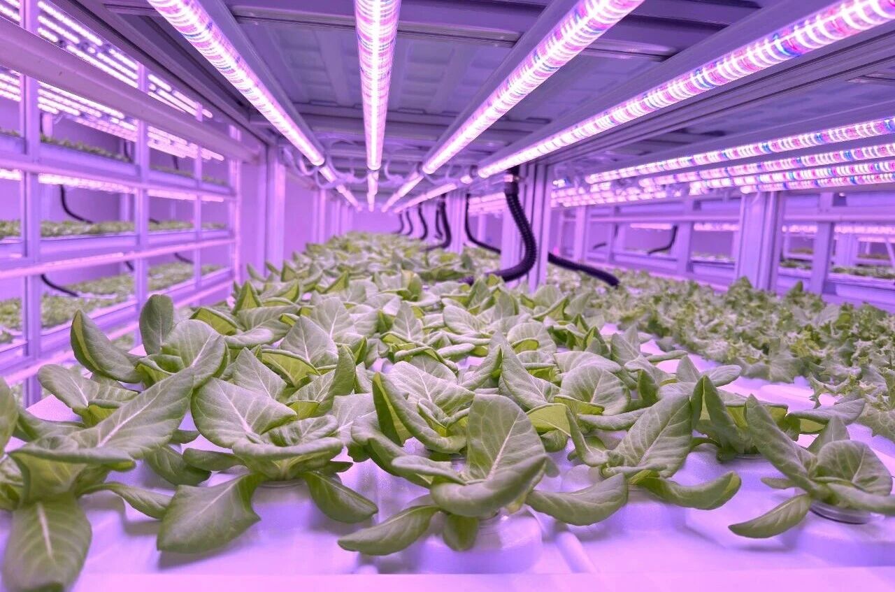 4微信图片_20260122133852