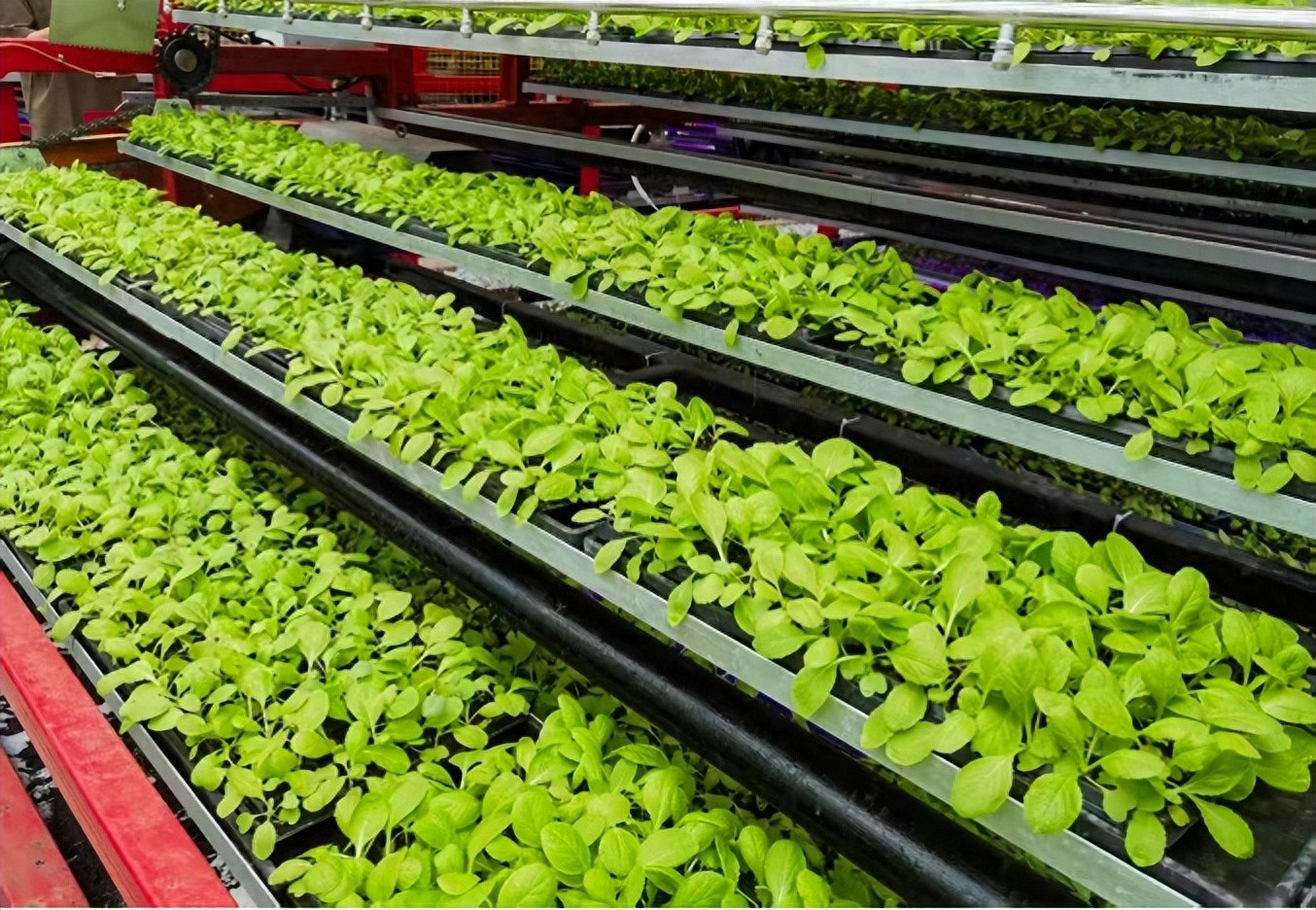 111b986b28d290a4290a0a66dd35fadd6b6~tplv-tt-origin-web_gif