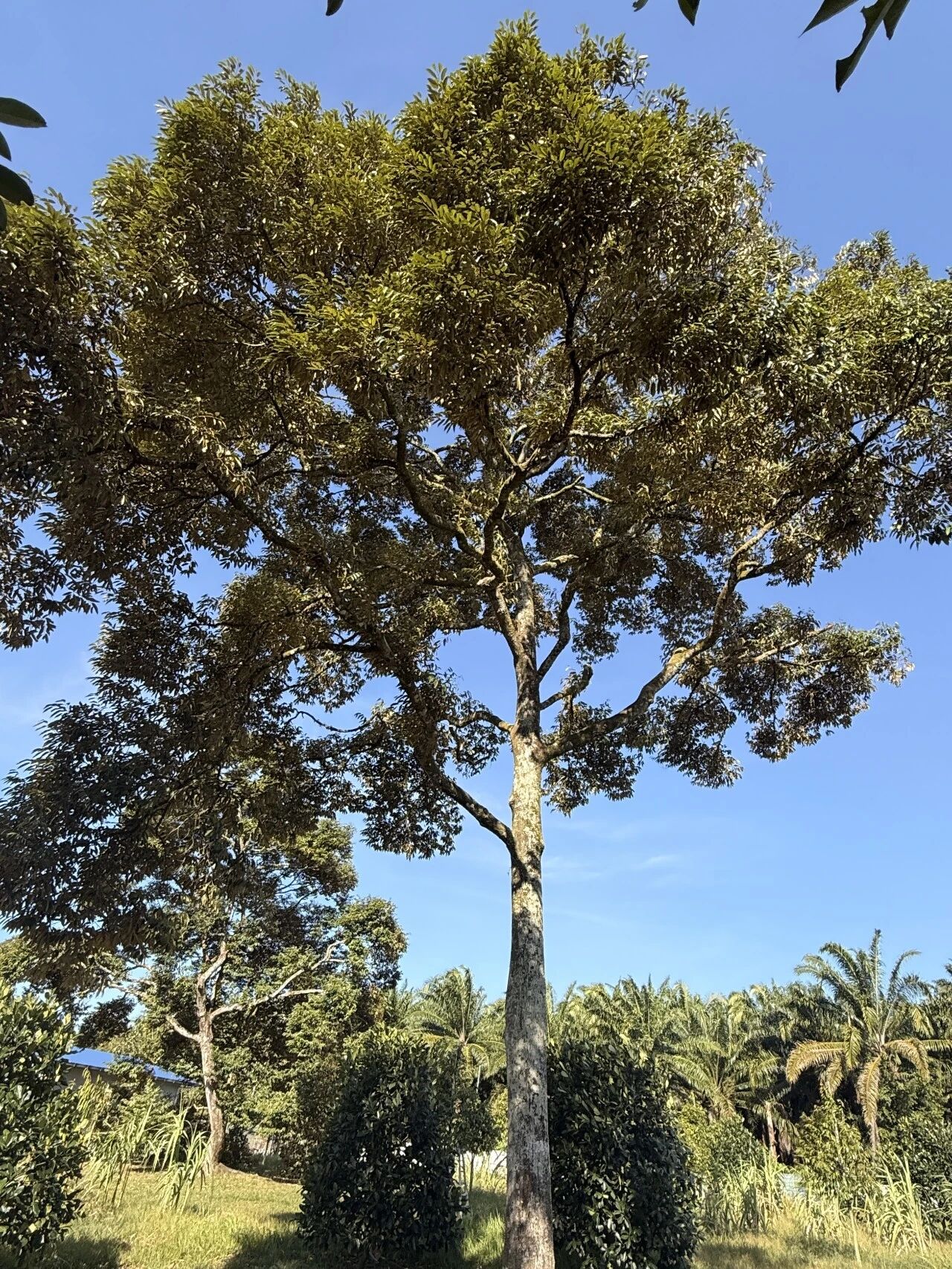 4微信图片_20260211092637