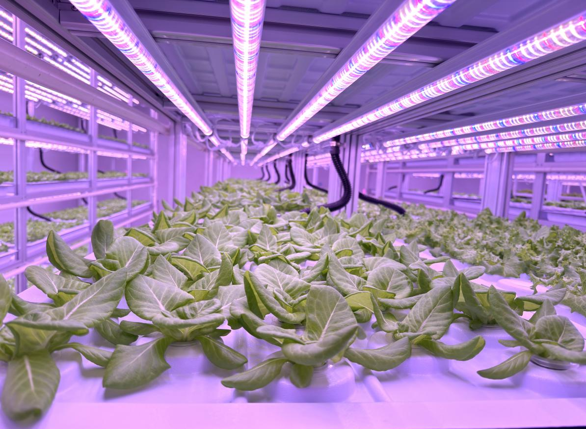 3微信图片_20260302141327