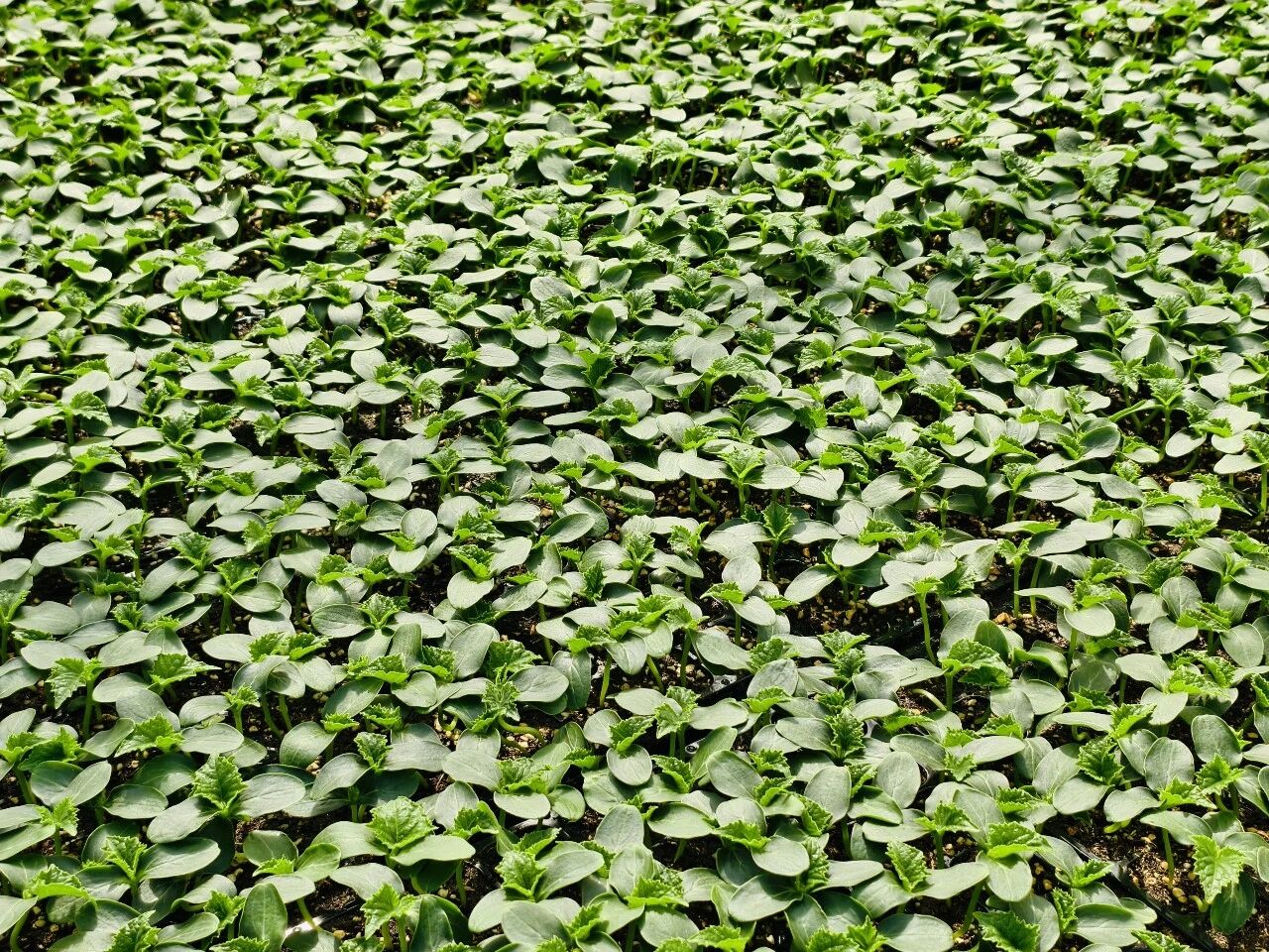 2微信图片_20260310092244