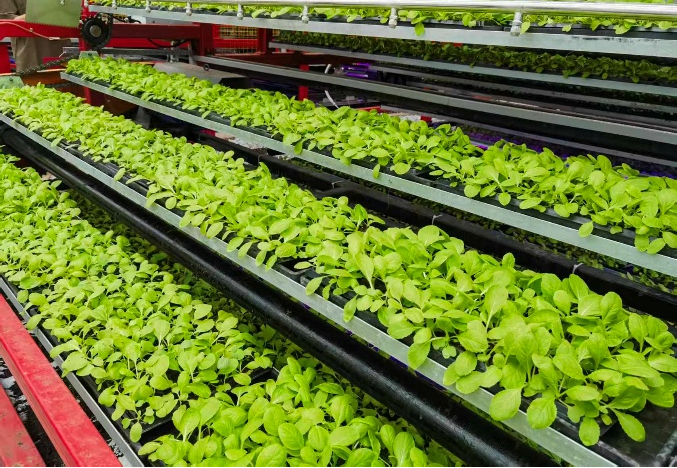 3微信图片_20260310092249