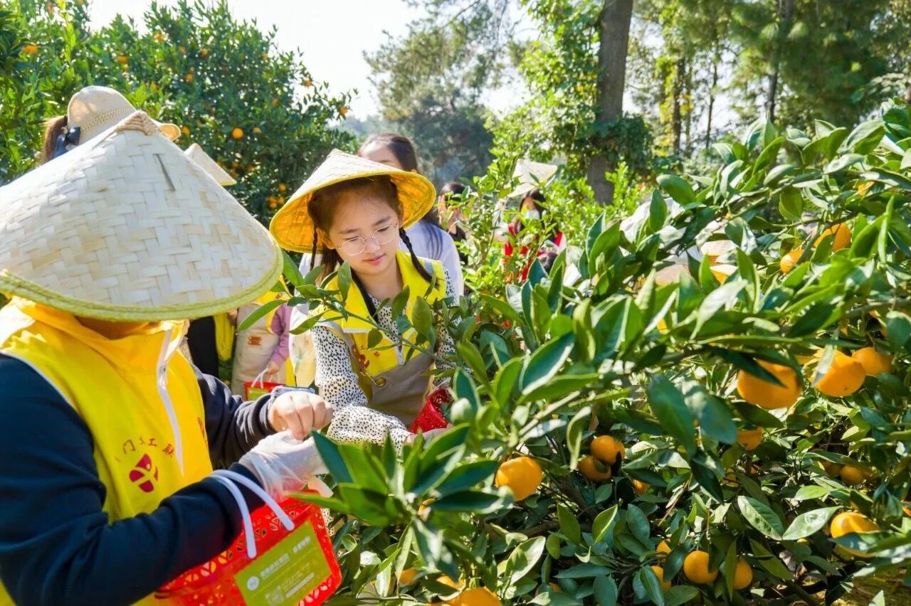 2微信图片_20260330093143 2微信图片_20260330093143