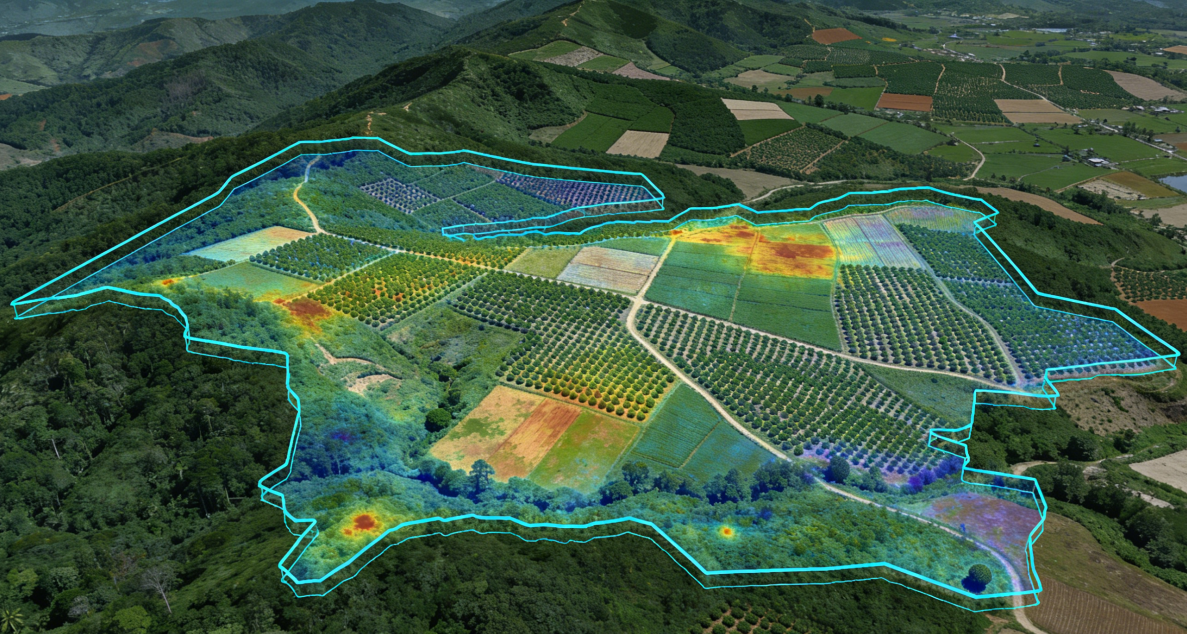 3微信图片_20260331153946 3微信图片_20260331153946