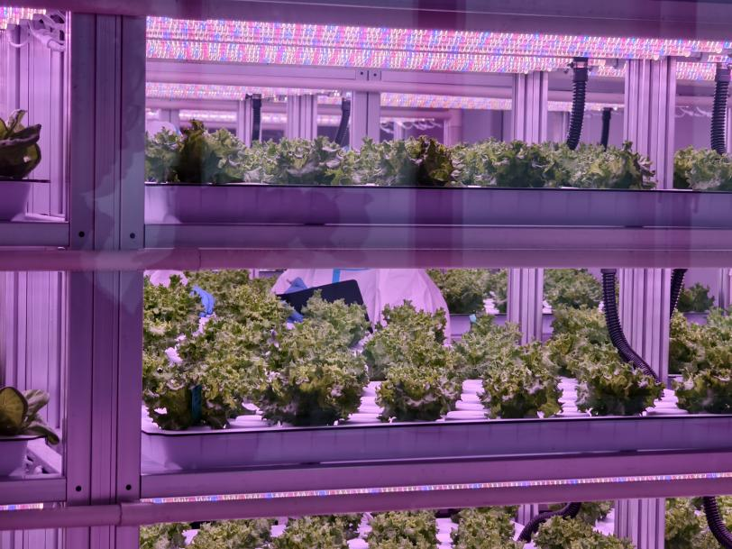 2微信图片_20260326160544 2微信图片_20260326160544