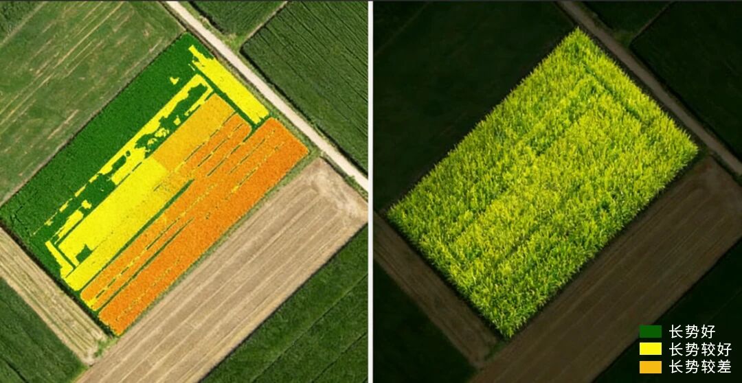 4微信图片_20260331153951 4微信图片_20260331153951