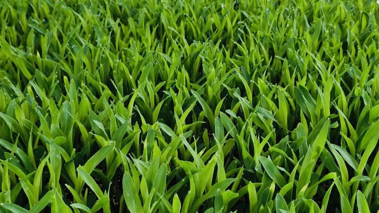 1微信图片_20260310092238