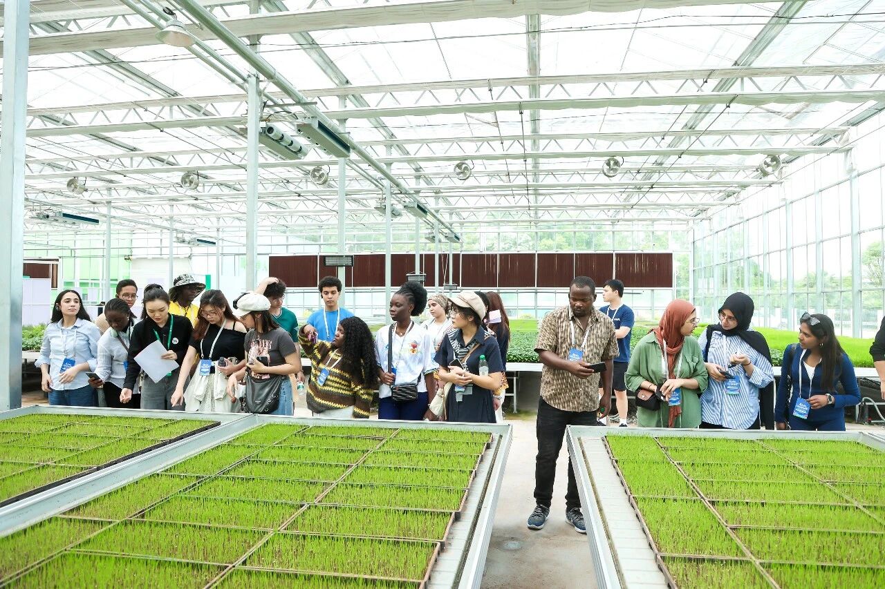 2微信图片_20260427133106