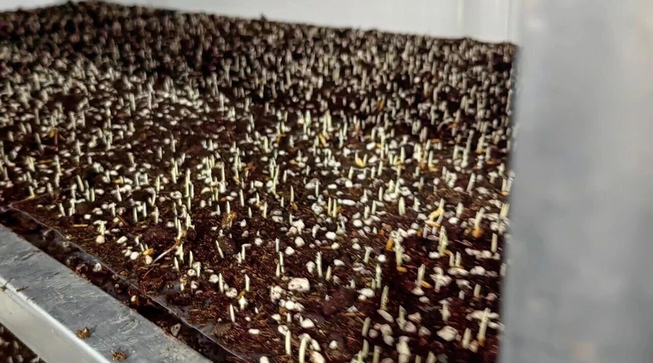 5微信图片_20260417165119