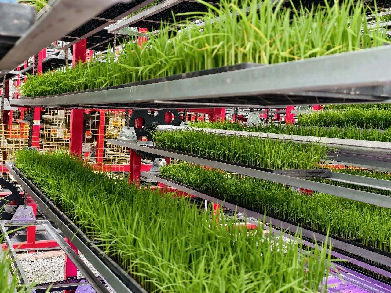 4微信图片_20260417165115