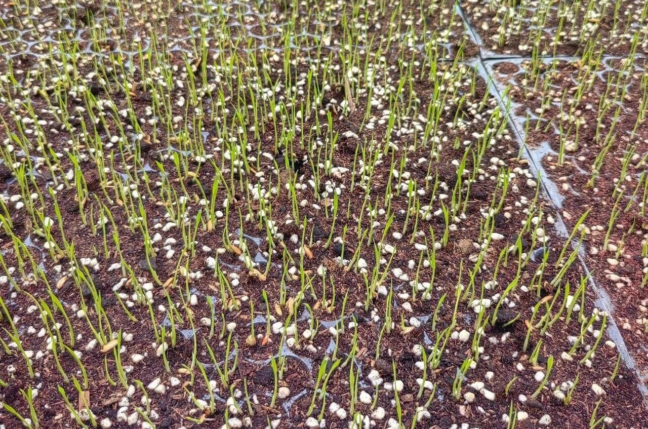 6微信图片_20260417165124