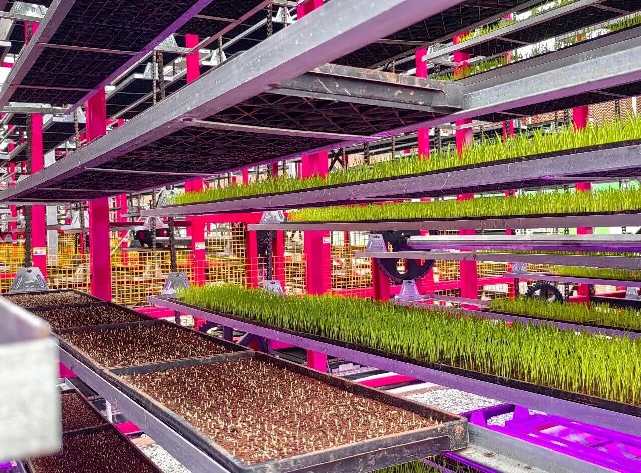 3微信图片_20260417165109