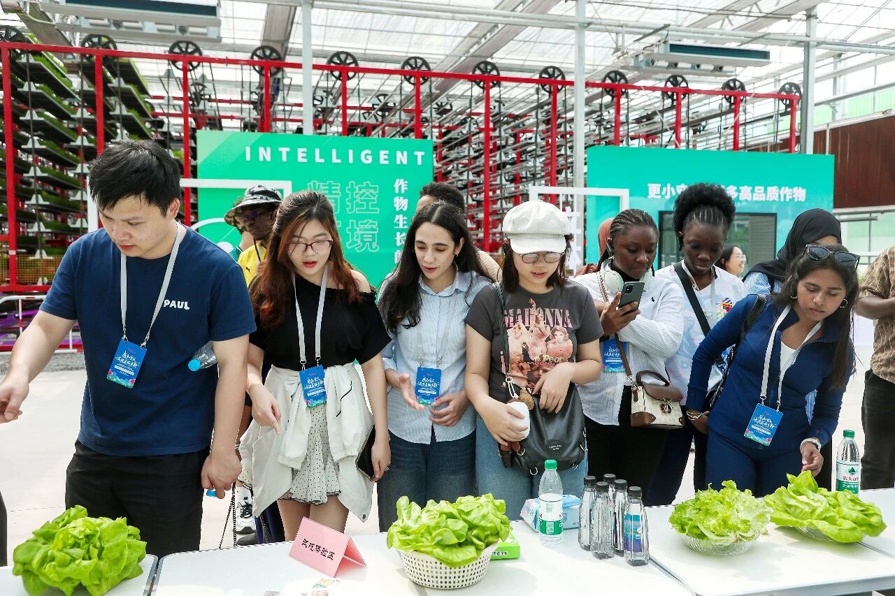 3微信图片_20260427133111