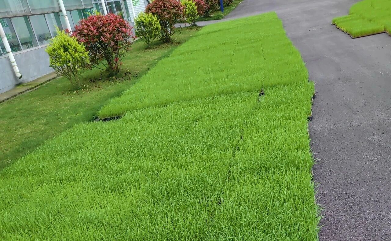 8微信图片_20260417165135