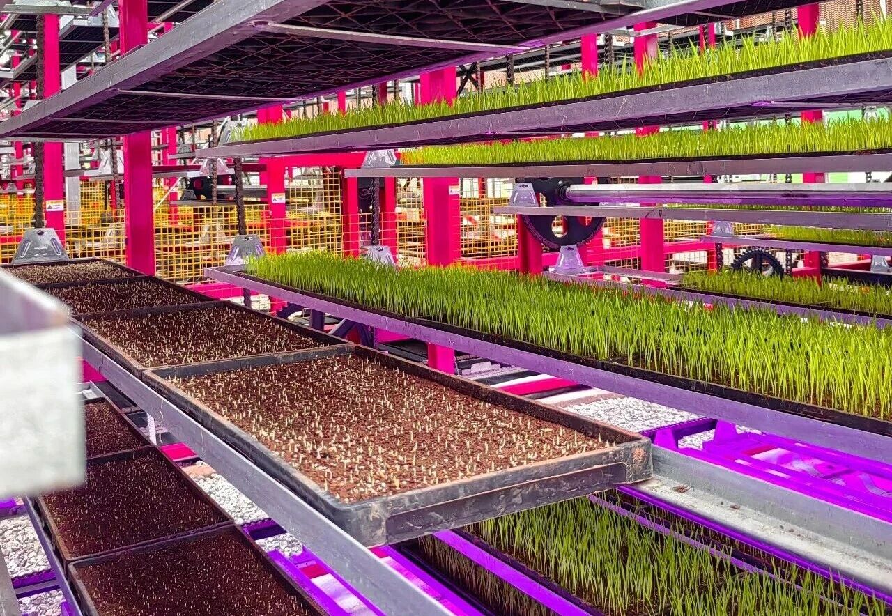 6微信图片_20260430171814