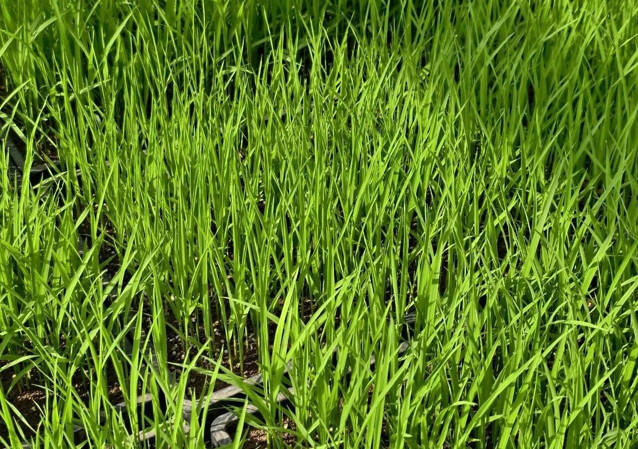 7微信图片_20260417165130