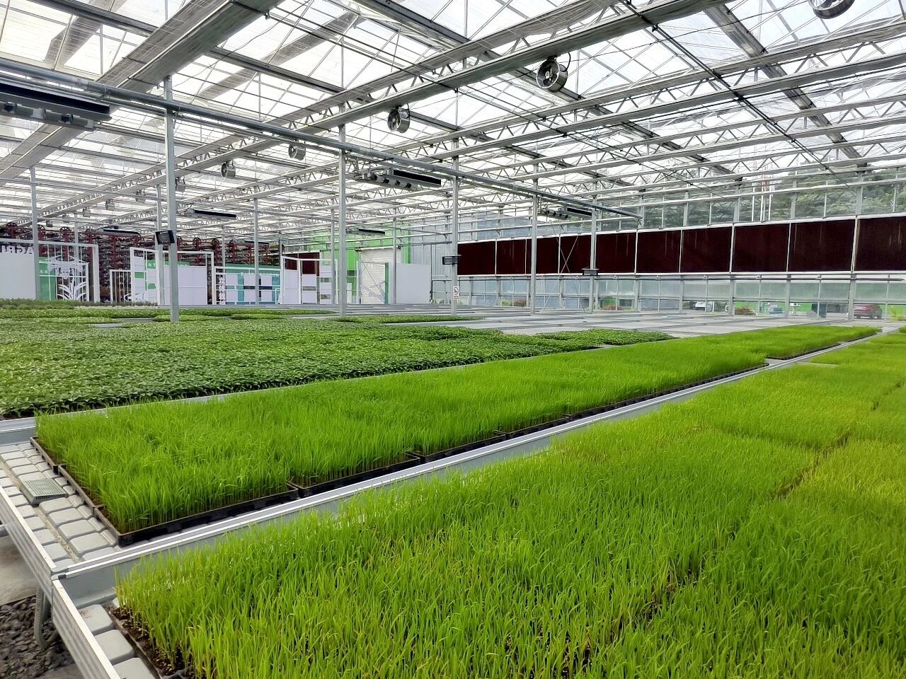 2微信图片_20260417165103