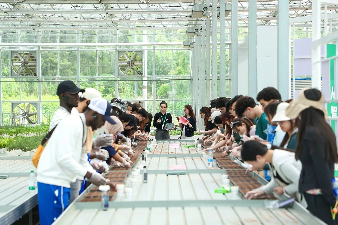 4微信图片_20260427133120