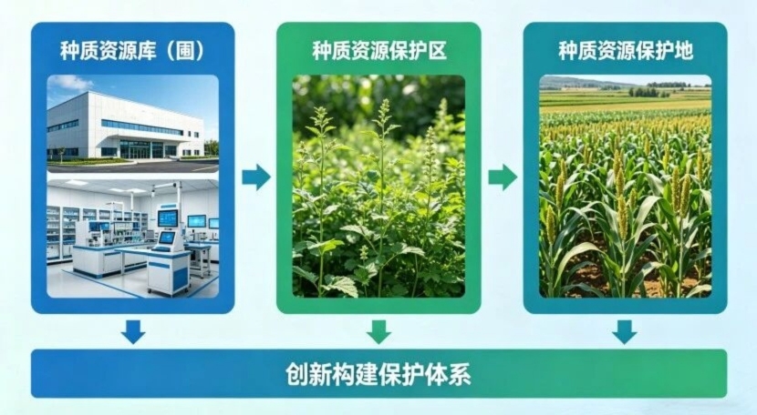 3微信图片_20260430171758