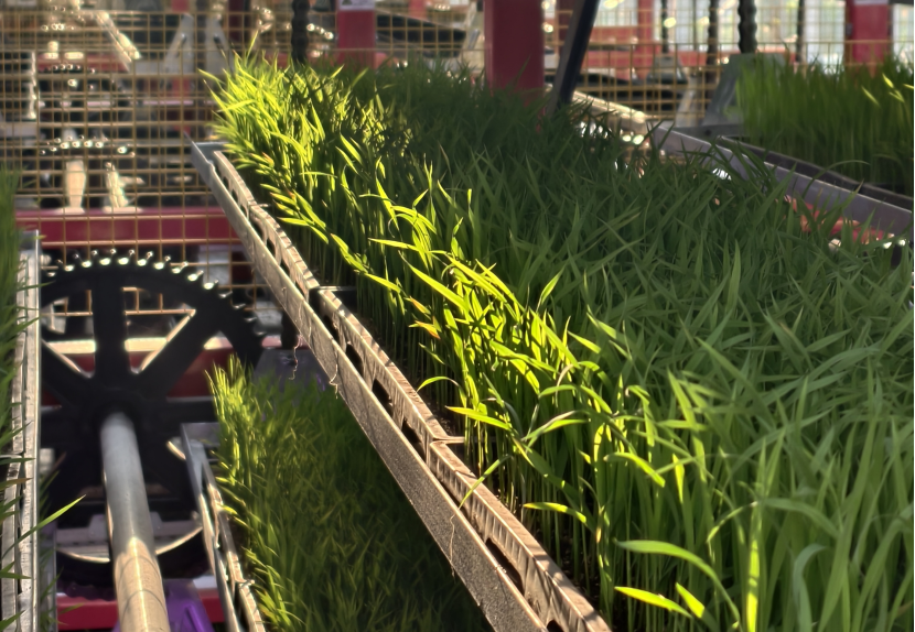 5微信图片_20260430171809